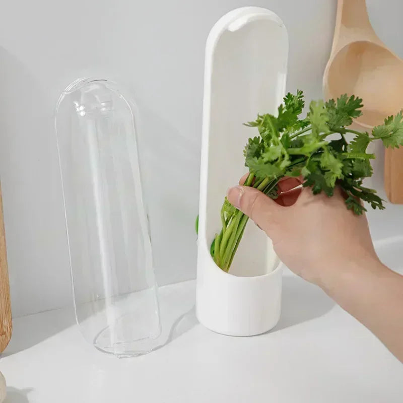 Refrigerator Herb Crisper Saver Container Vegetable Preserving Bottle Home Storage Fresh Kitchens Accessories Kitchen Organizers