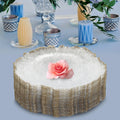 NEW 25 Pieces Clear Charger Plates, Table Charger Plates, Dinner Charger Plate for Banquets, Weddings, Bridal Showers